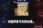 娱乐综艺吃瓜八卦,揭秘明星幕后那些事儿
