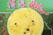 娱乐吃瓜图片图文素材高清,揭秘娱乐圈幕后故事